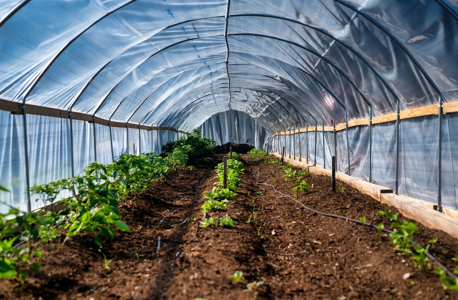 How to Prepare Garden Beds for Drip Irrigation
